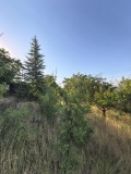 Продава  Парцел област Пловдив , гр. Куклен , 908 кв.м | 77963117 - изображение [2]