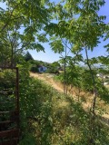 Продава  Парцел област Пловдив , гр. Куклен , 908 кв.м | 77963117 - изображение [3]
