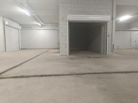 ����� ������� �����,���� �����, ������ ����
