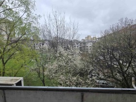 ������ ������� 2-�����