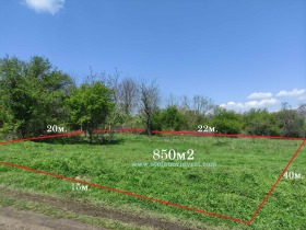 ����� ������� ������,�. �����, ������ �����