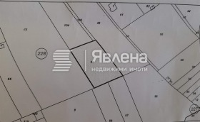 ������ ������� ������
