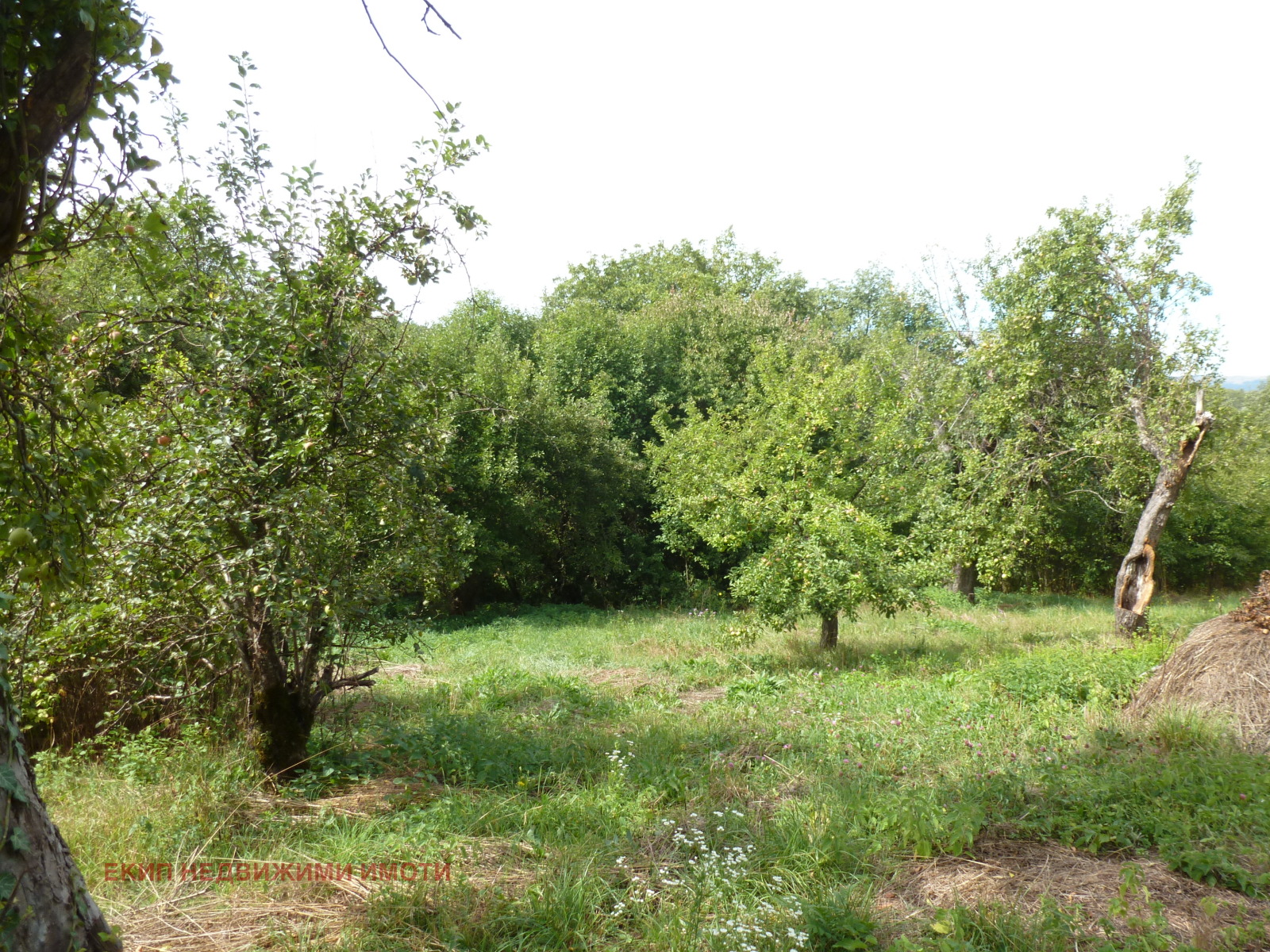 Продава ПАРЦЕЛ, гр. Трън, област Перник, снимка 6 - Парцели - 56581056