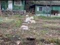 Продава ПАРЦЕЛ, гр. София, с. Герман, снимка 3