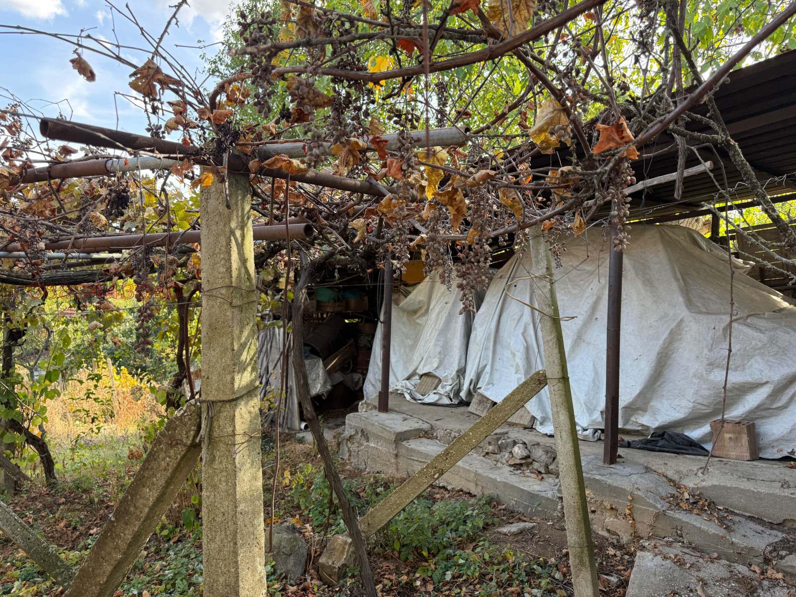 ������� ���� | Imot.bg � ����������� 7