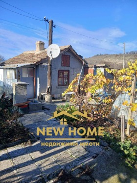 ����� ������� ������,�. ������, ������ ������