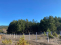 Продава ПАРЦЕЛ, гр. Гоце Делчев, област Благоевград, снимка 5