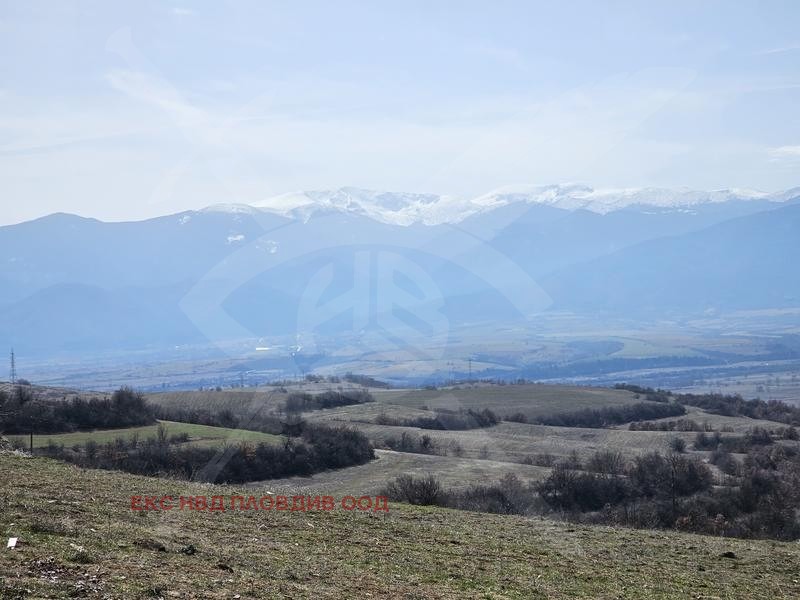 ������� ������ | Imot.bg � ����������� 1