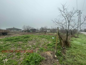 ����� ������� ������,�. �����, ������ ������