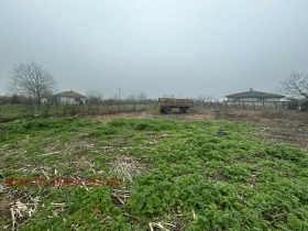 ����� ������� ������,�. �����, ������ ������