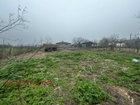 ����� ������� ������,�. �����, ������ ������>