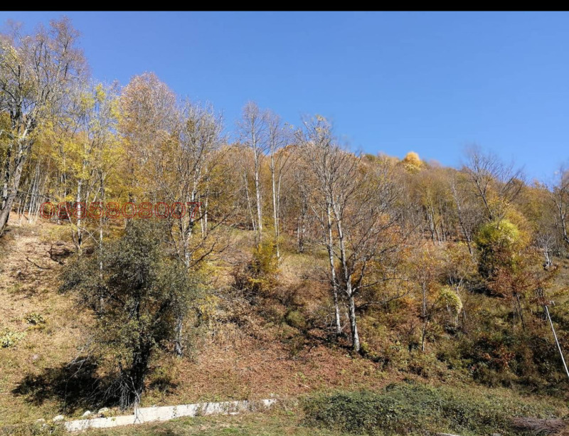 Продава ПАРЦЕЛ, с. Рибарица, област Ловеч