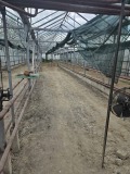 Продава БИЗНЕС ИМОТ, с. Загоре, област Стара Загора, снимка 6