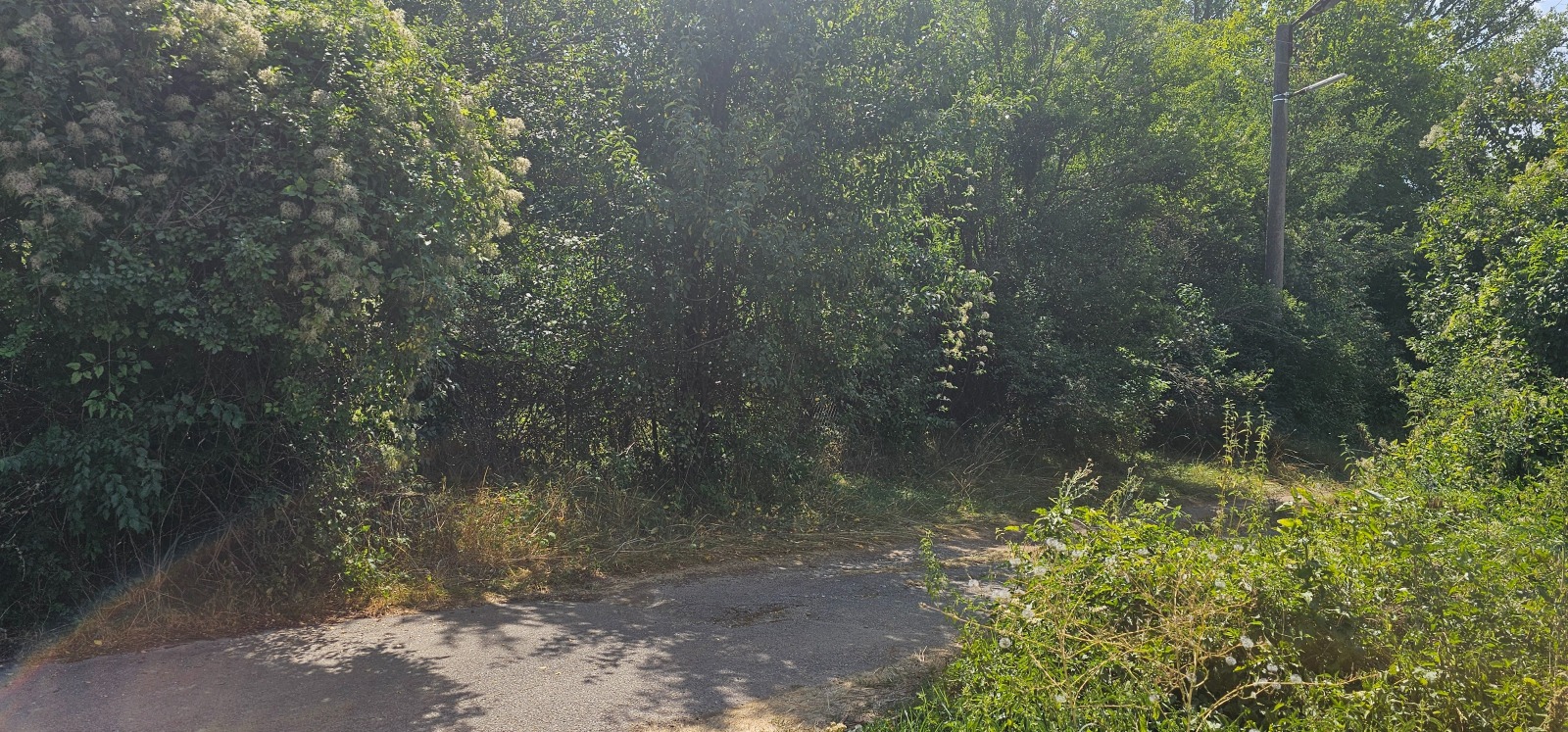 ������� ������ | Imot.bg � ����������� 6