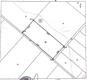 ����� ������� ������,�. ��������, ������ �����