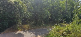 ������� ������ | Imot.bg � ����� ������ 6