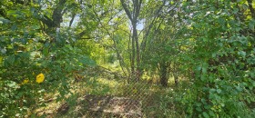 ������� ������ | Imot.bg � ����� ������ 2