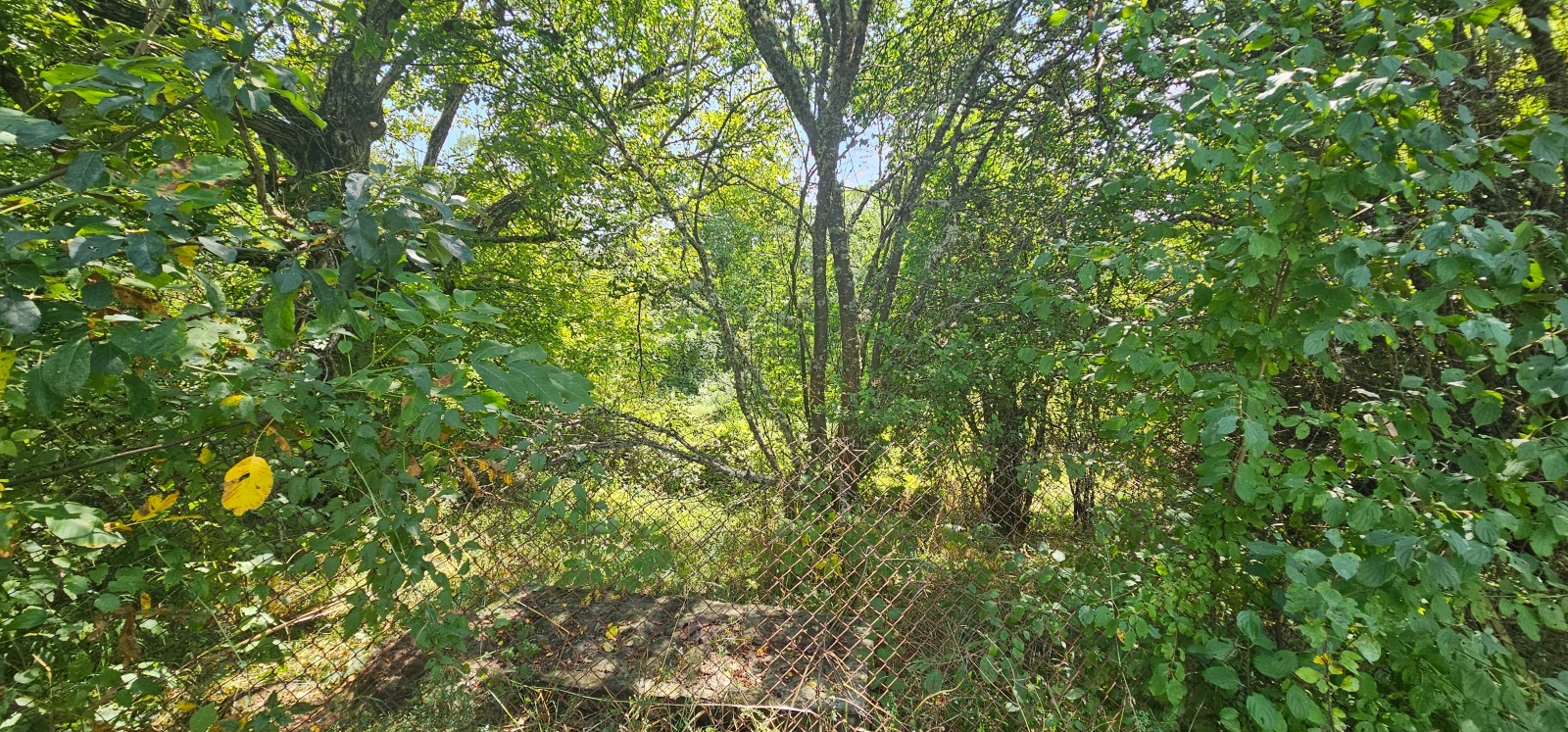 Продава ПАРЦЕЛ, с. Ковачевци, област Перник, снимка 2 - Парцели - 55181678