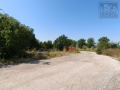 Продава ПАРЦЕЛ, с. Първомайци, област Велико Търново, снимка 5