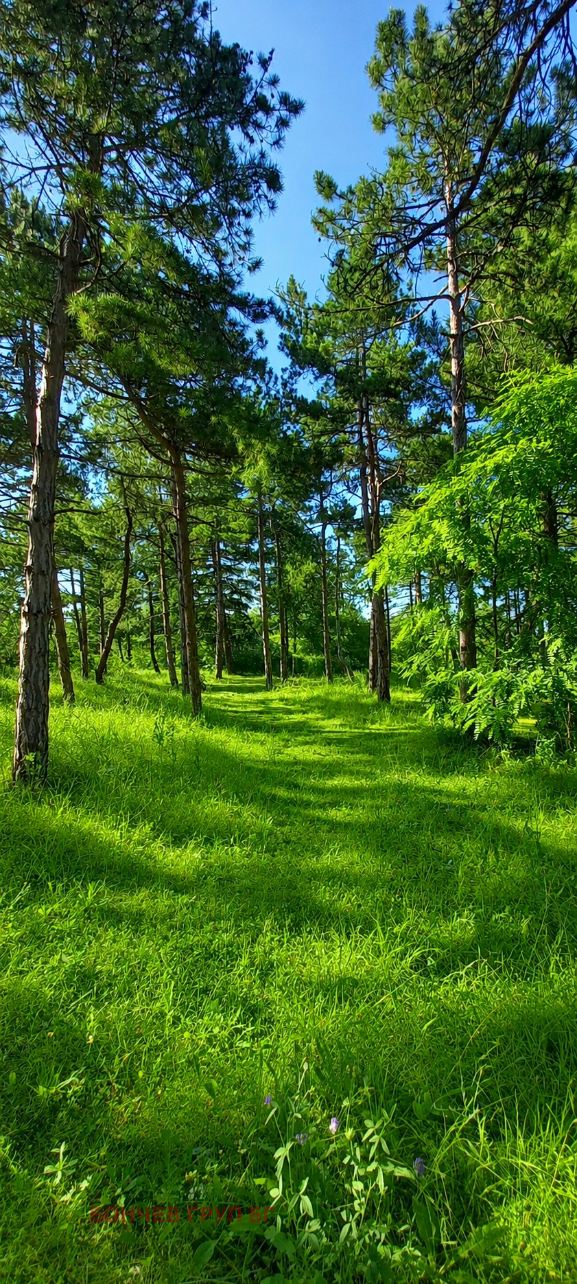 ������� 2-����� | Imot.bg � ����������� 1