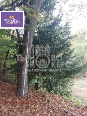 ������� ���� | Imot.bg � ����� ������ 17
