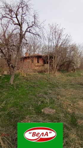 Plot Kutsina, region Veliko Tarnovo 4