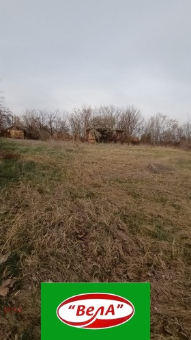 Plot Kutsina, region Veliko Tarnovo 2