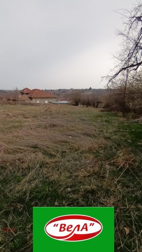 Grund Kutsina, region Veliko Tarnovo 1