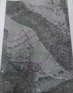 ����� ������� ���������� ����,�. �������, ������ ���������