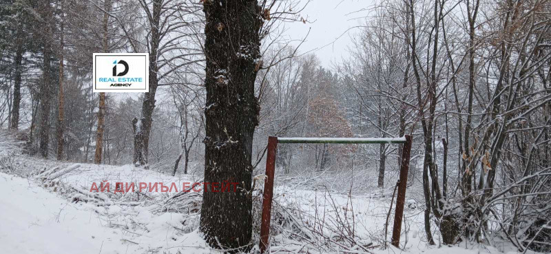 For Sale  Plot Sofia , Pancharevo , 1063 sq.m | 87694105 - image [3]