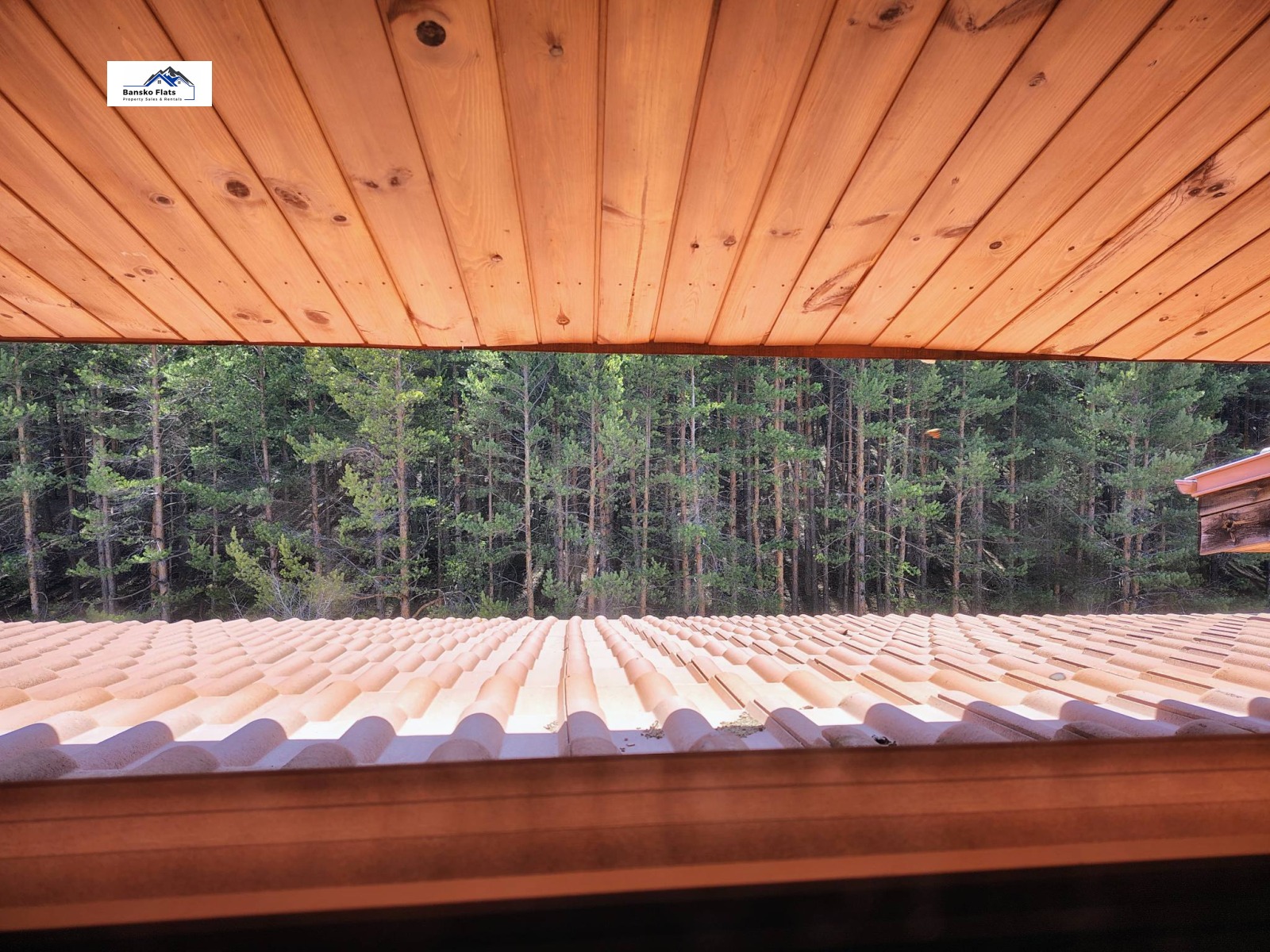 Продава 1-СТАЕН, гр. Банско, област Благоевград, снимка 9 - Апартаменти - 53964179