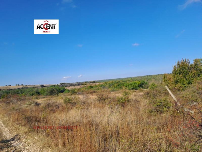 En venta  Trama Varna , m-t Dobreva cheshma , 2460 metros cuadrados | 55551476 - imagen [4]