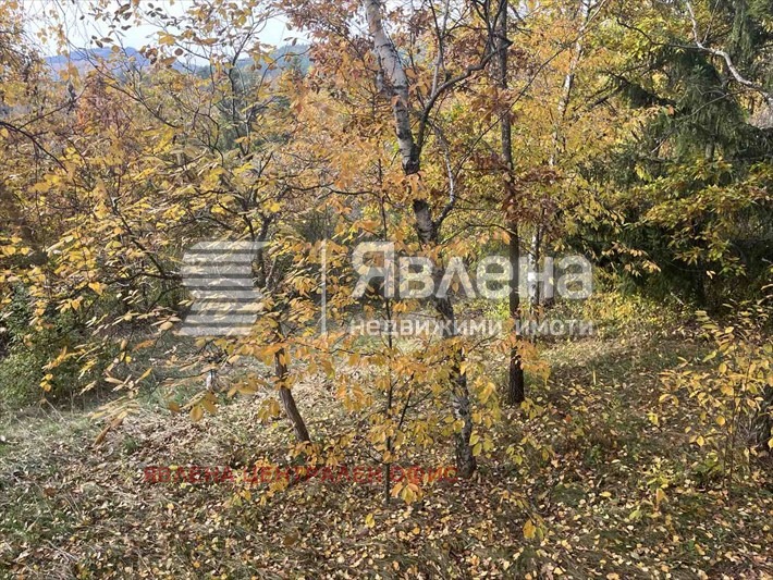 ������� ���� | Imot.bg � ����������� 3