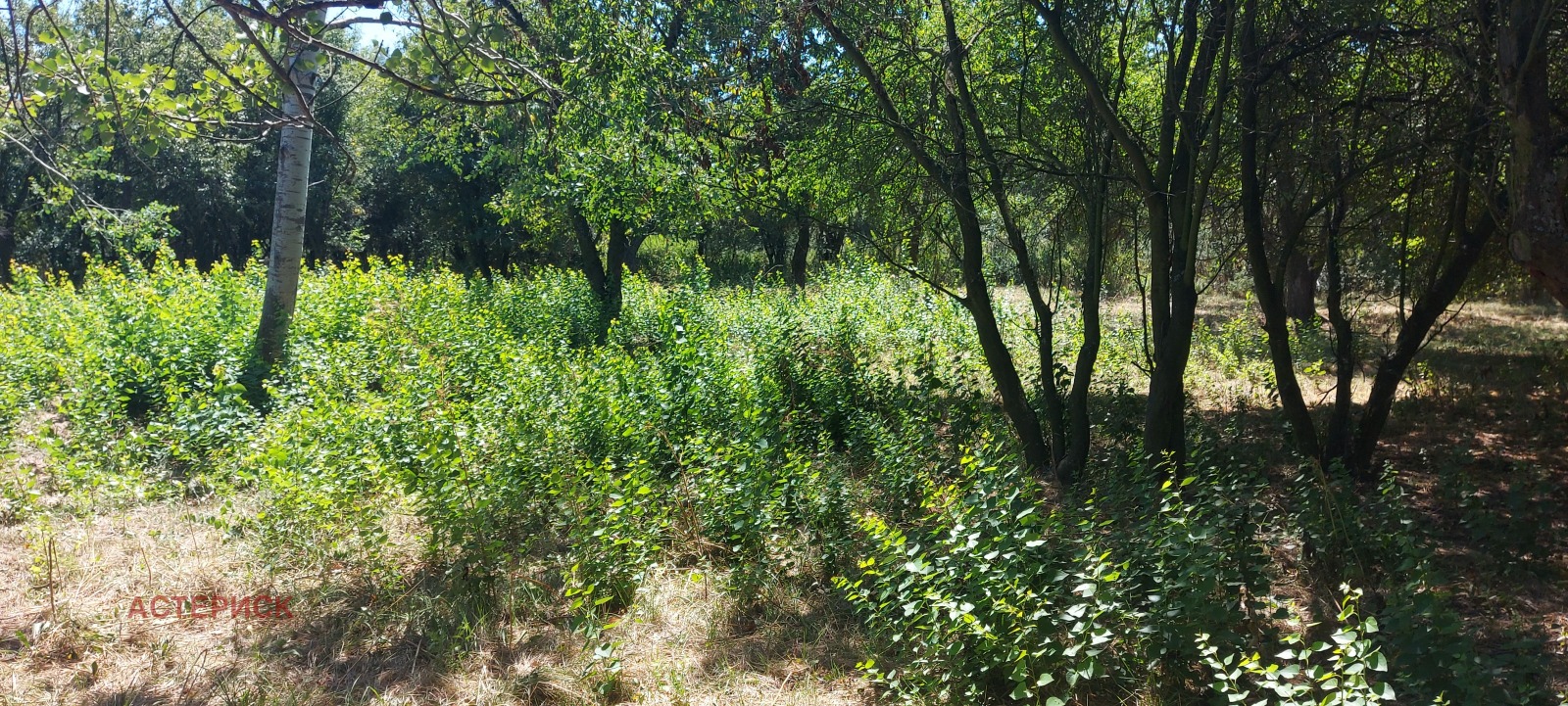 ������� ������ | Imot.bg � ����������� 15