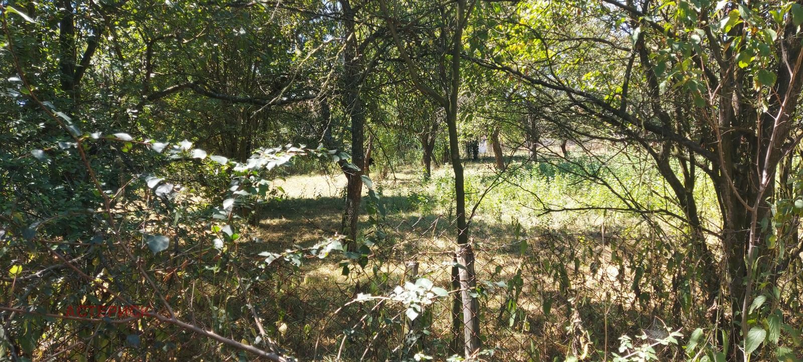 ������� ������ | Imot.bg � ����������� 11