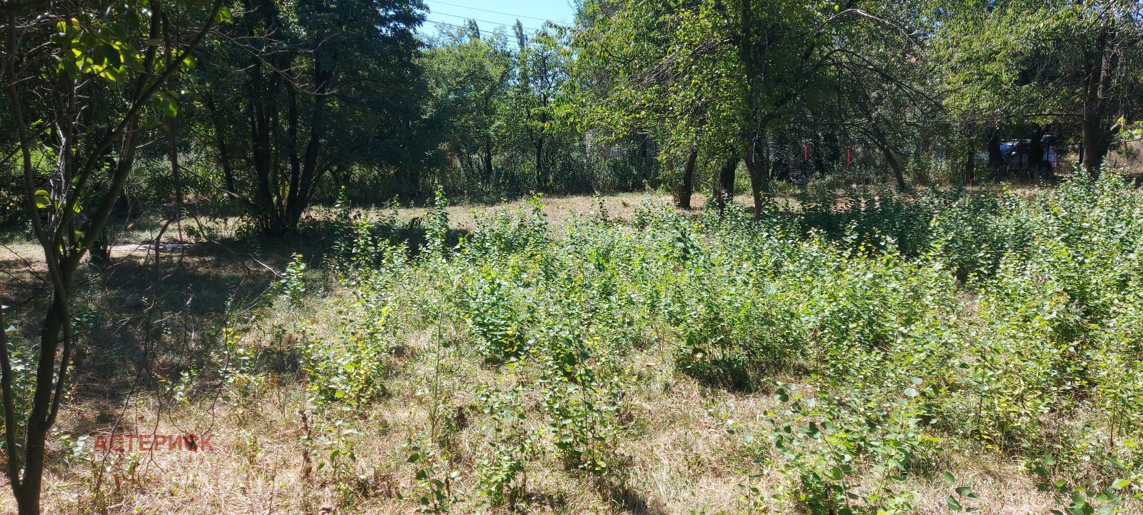 ������� ������ | Imot.bg � ����������� 1