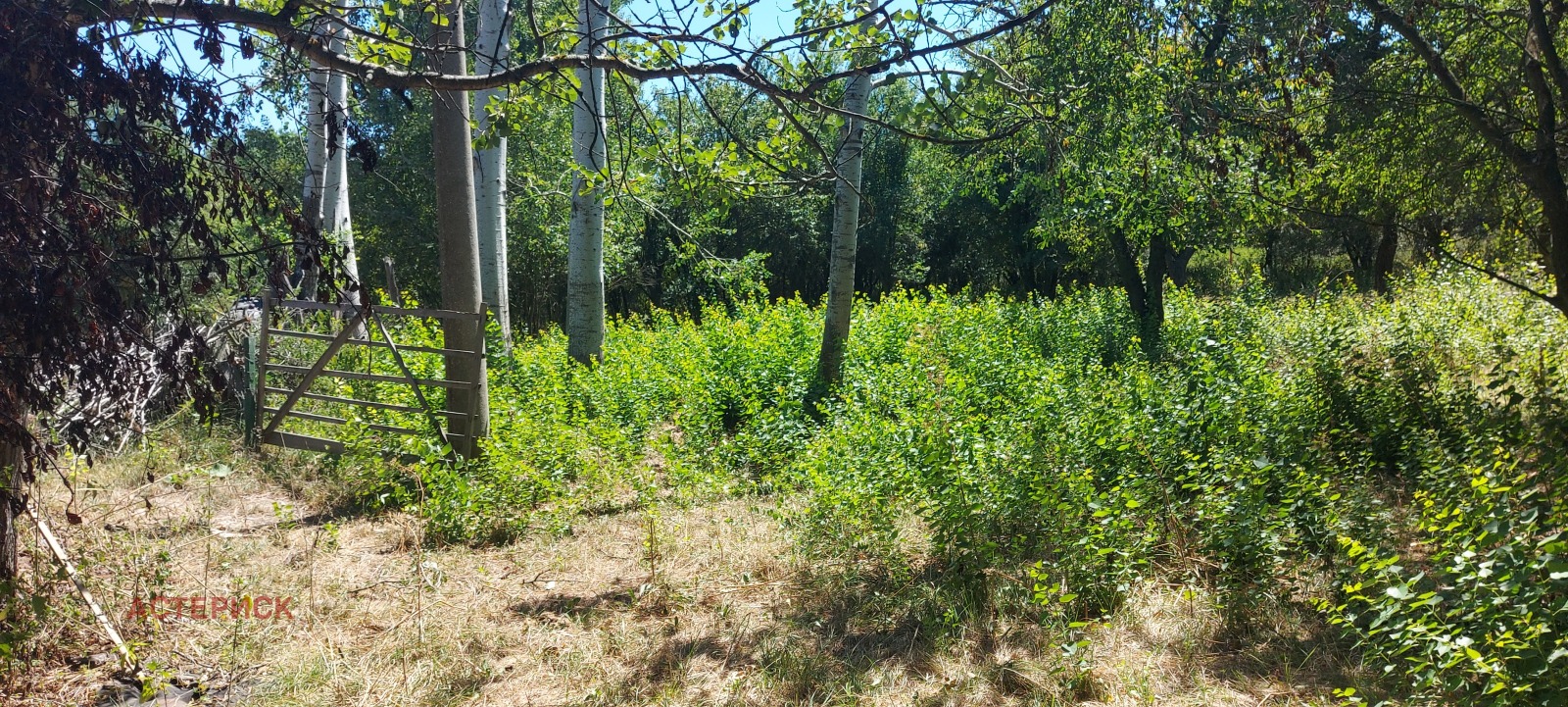 ������� ������ | Imot.bg � ����������� 13