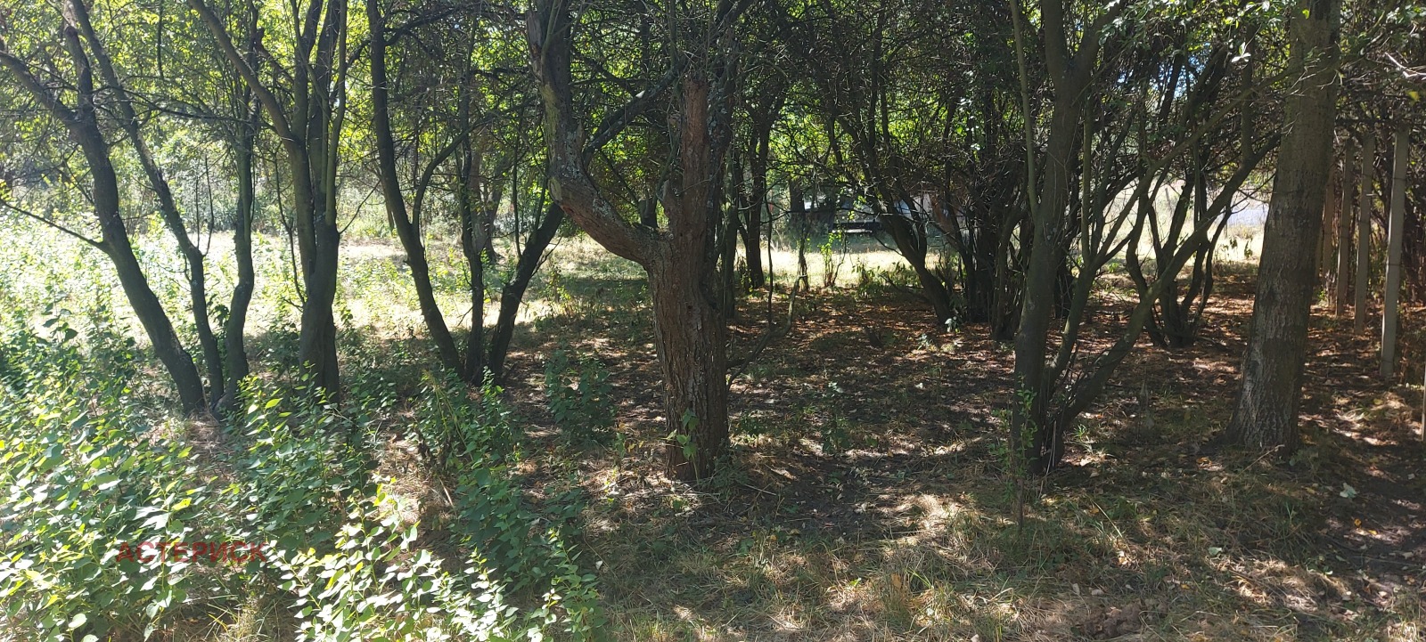 ������� ������ | Imot.bg � ����������� 14