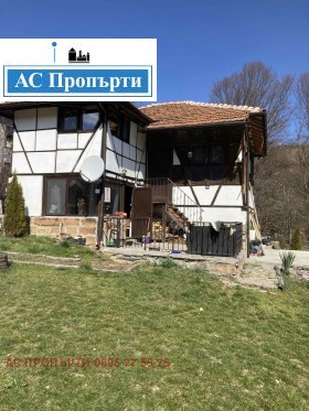 ������ ������� ����