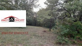 Продажба на имоти в с. Къпиново, област Велико Търново — страница 2 - изображение 9 