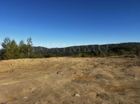 ������� ������ | Imot.bg � ����� ������ 13