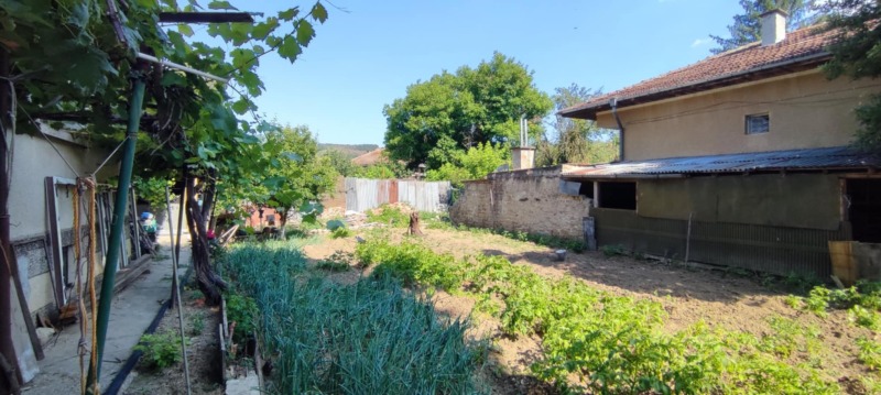 Zu verkaufen  Hausboden region Weliko Tarnowo , Straschiza , 110 qm | 98811257 - Bild [7]