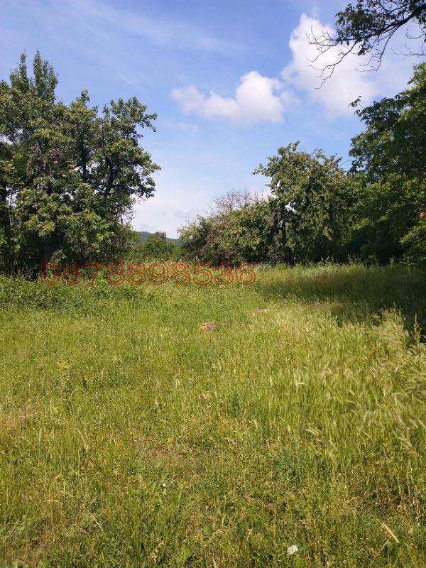 Продава КЪЩА, с. Стефаново, област Ловеч, снимка 3 - Къщи - 52783440