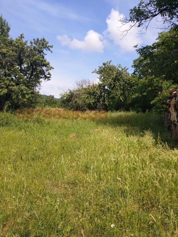 Продава КЪЩА, с. Стефаново, област Ловеч, снимка 4 - Къщи - 52783440