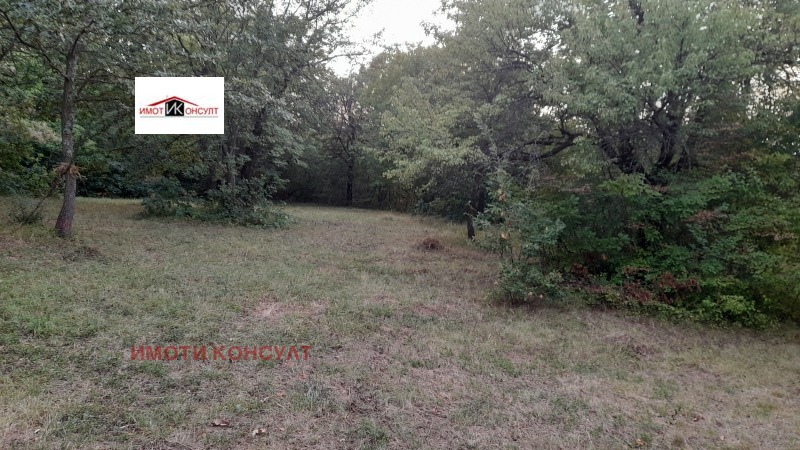 For Sale  Plot region Veliko Tarnovo , Kapinovo , 1098 sq.m | 65624885 - image [2]