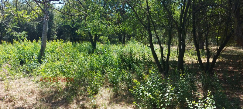 Продава ПАРЦЕЛ, с. Рударци, област Перник, снимка 14 - Парцели - 52946184