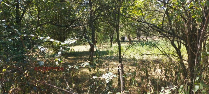 Продава ПАРЦЕЛ, с. Рударци, област Перник, снимка 10 - Парцели - 52946184