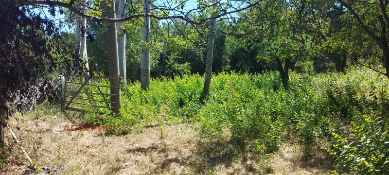 Продава ПАРЦЕЛ, с. Рударци, област Перник, снимка 12 - Парцели - 52946184