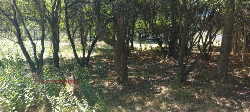 Продава ПАРЦЕЛ, с. Рударци, област Перник, снимка 13 - Парцели - 52946184