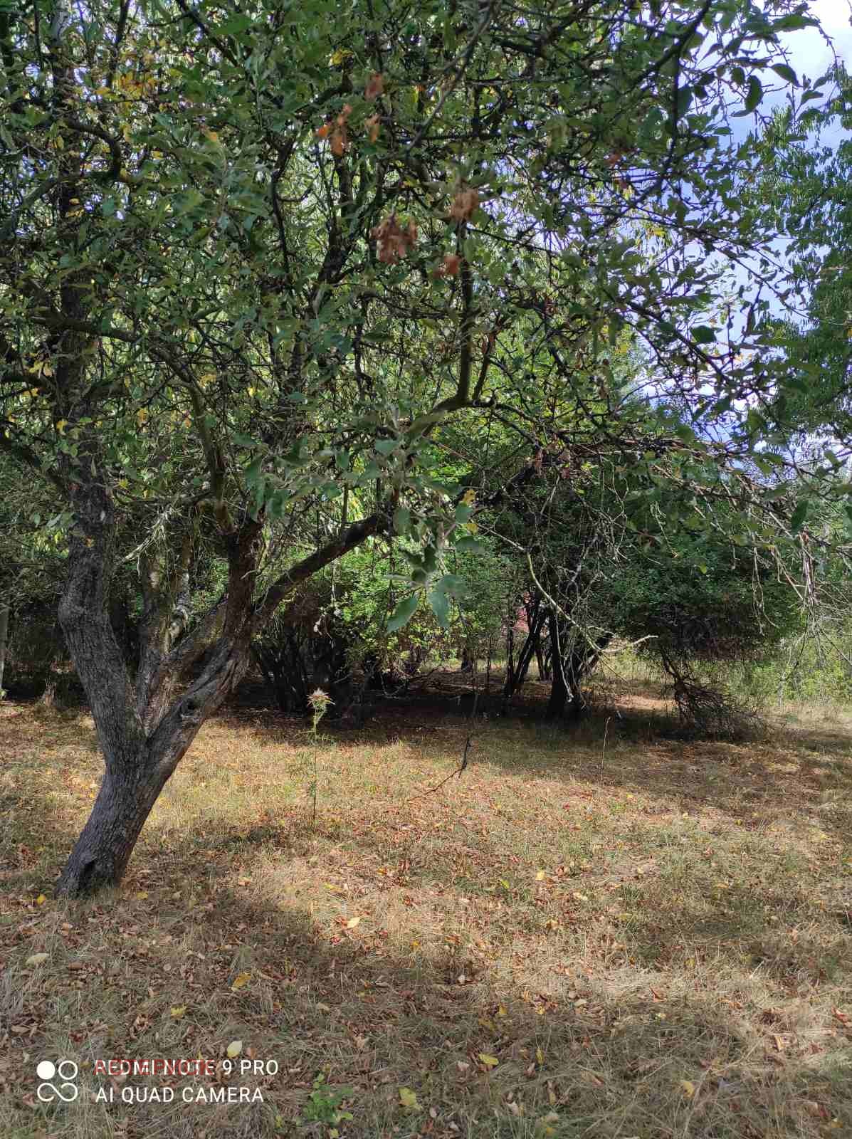 Продава ПАРЦЕЛ, с. Рударци, област Перник, снимка 8 - Парцели - 52946184